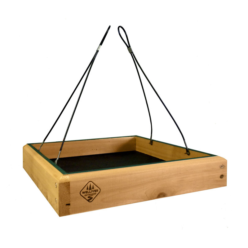 1000WestInc Hanging Platform Tray Bird Feeder & Reviews Wayfair